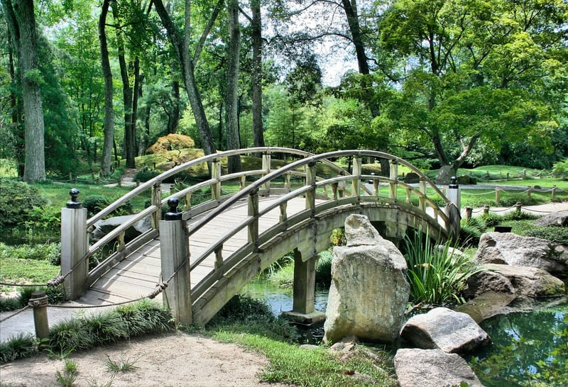 Outdoor garden